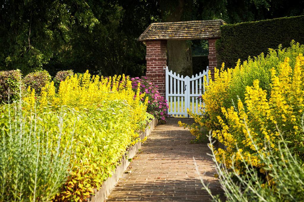 Chateau De Bouelles Bed & Breakfast Neufchatel-en-Bray Bagian luar foto